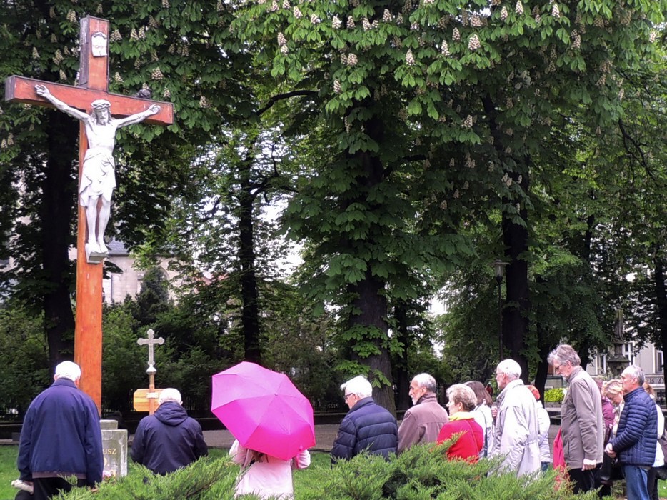 mt_gallery: Pielgrzymka do Matki Boskiej Boguckiej 2019